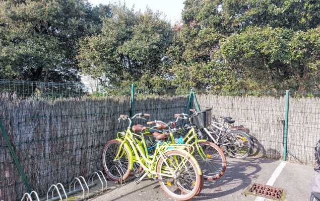 Ocean for ever - Photo 28