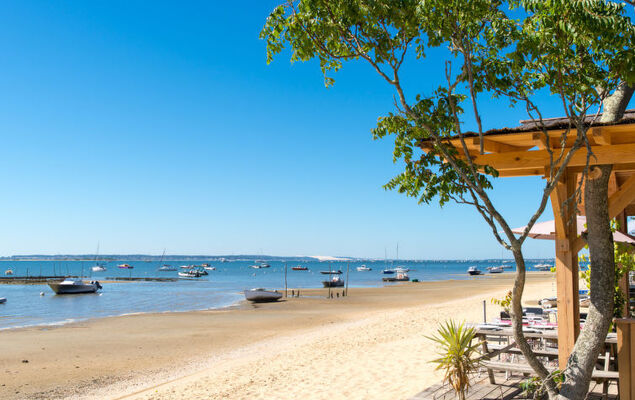 Côté Bassin - Photo 43