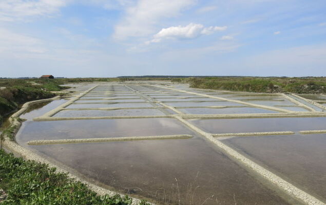 Moulin Bastard - Photo 34